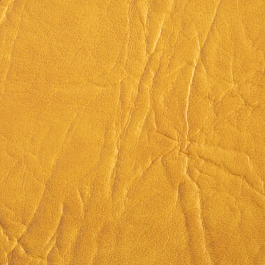 04.NEW-STAR_Amarillo