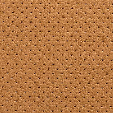 05_PARIGGI_Perforado
