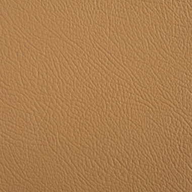 08_MONACO_Camel