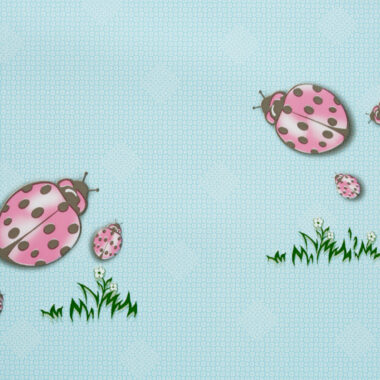 10_TECHFOL-FILMS_Muคequitos_Cucas