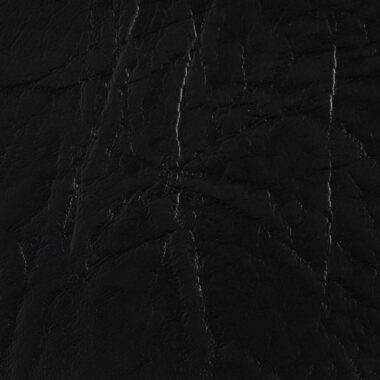 11.NEW-STAR_Negro