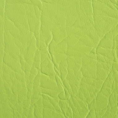 19.NEW-STAR_Pistacho