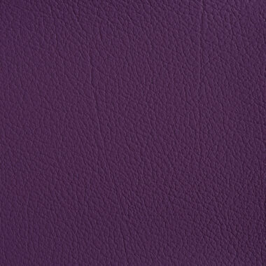 24_MENORCA_Violeta