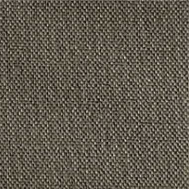 SIENA-06-CARBON